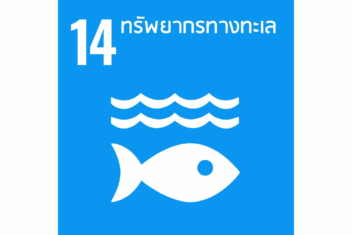 ดอยคำขับเคลื่อนการพัฒนาอย่างยั่งยืน ครอบคลุมทั้ง 17 เป้าหมาย SDGs ผ่านการดำเนินธุรกิจตามแนวคิด ESG
